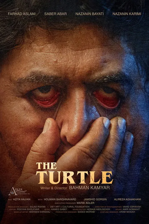 Poster for The Turtle