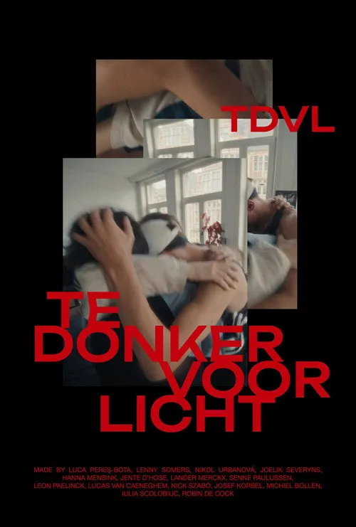 Poster for Too Dark For Light