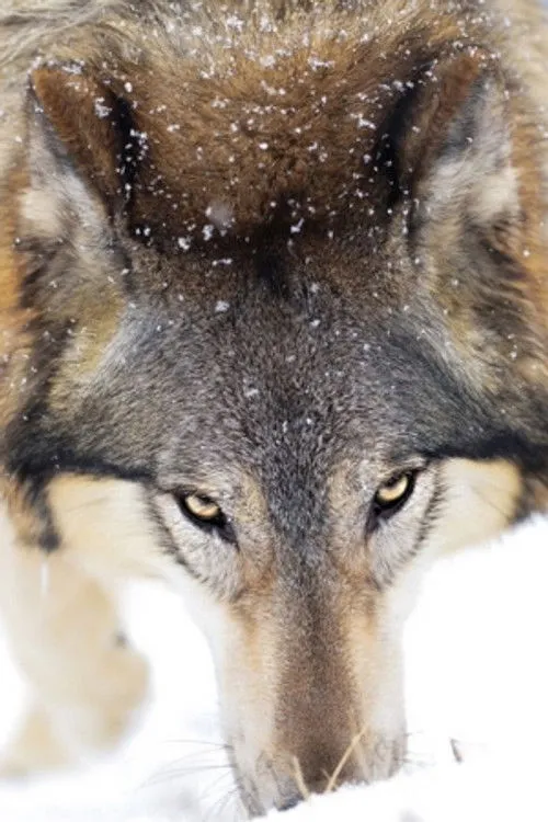 Profile photo of 이든이