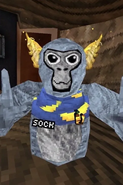 Photo of SockpuppetGT