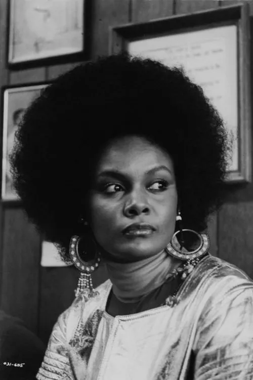 Photo of Tamara Dobson