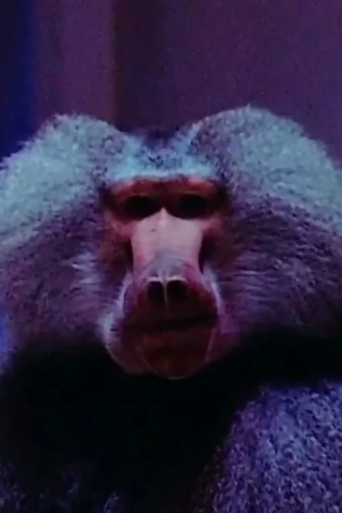 Profile photo of Typhoon