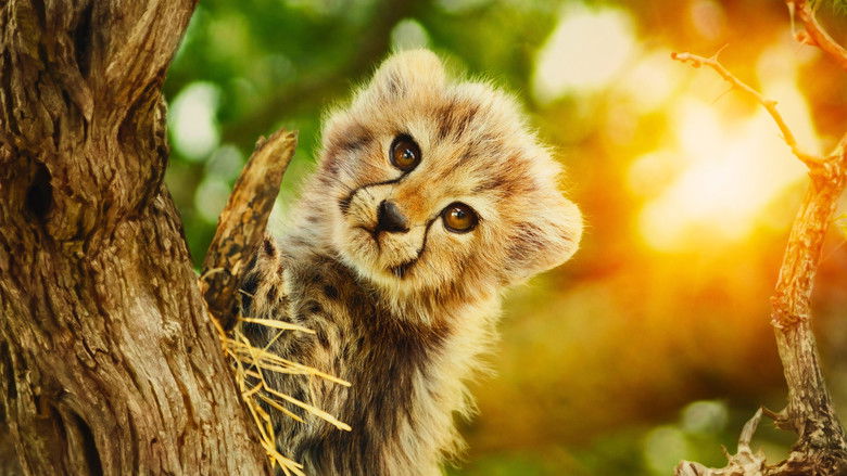 Banner for Salvajes por naturaleza