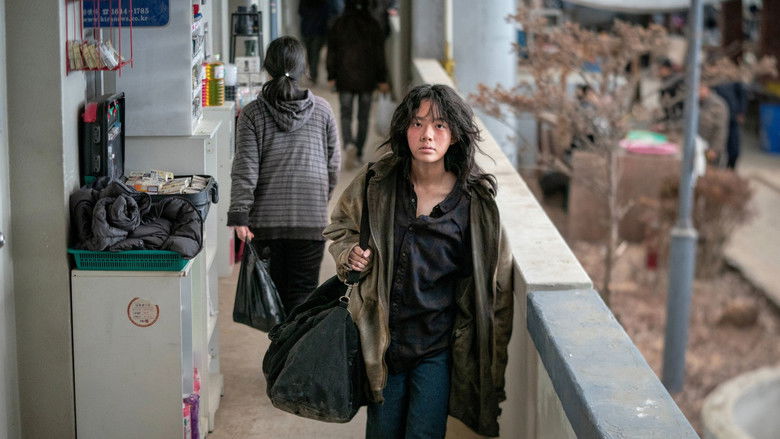 Banner for Concrete Market