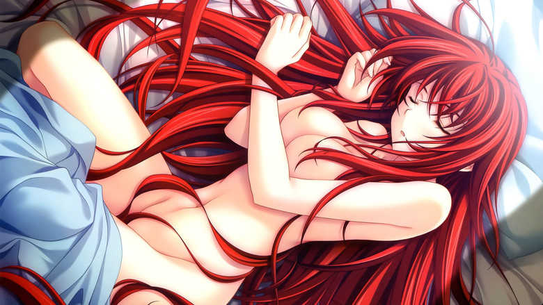 Banner for High School DxD