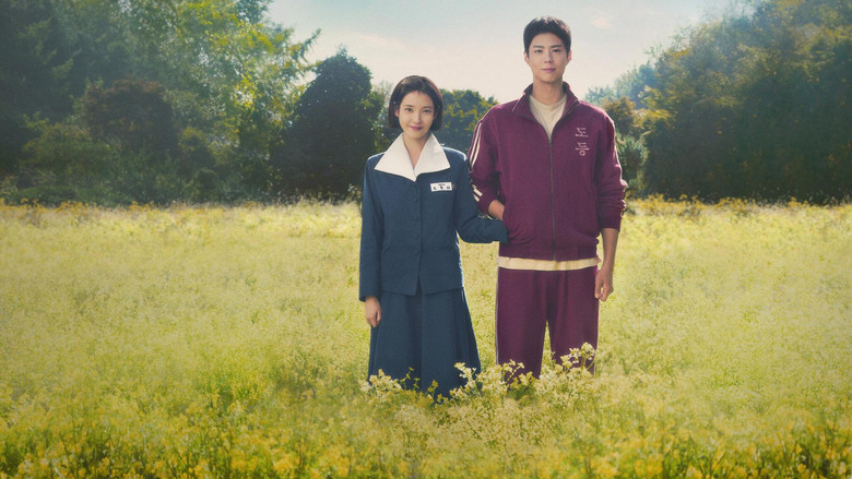 Banner for Если судьба преподносит тебе мандарины